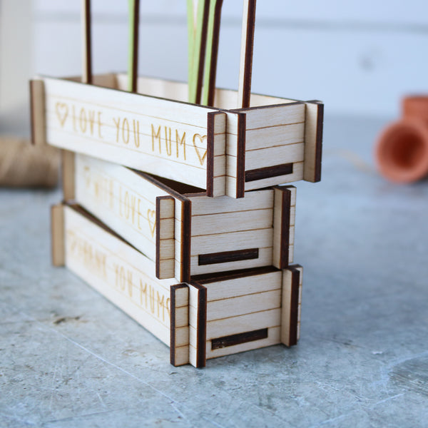 Flower Box Daffodils