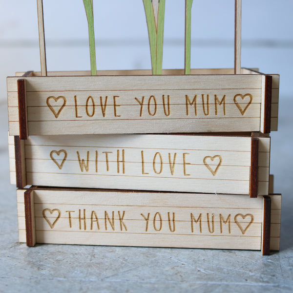 Flower Box Daffodils