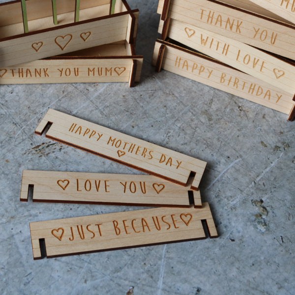 Flower Box Daffodils