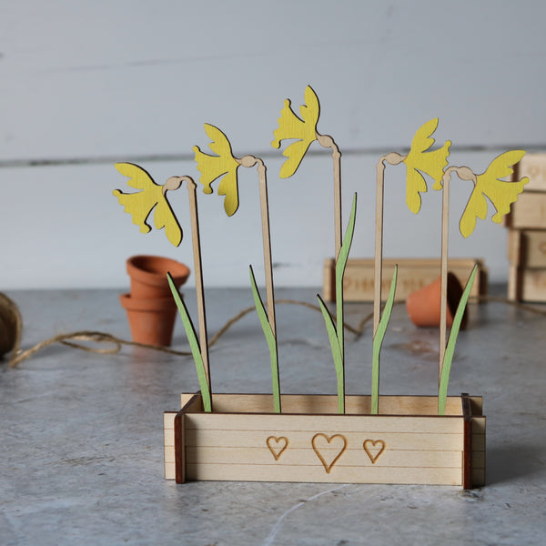 Flower Box Daffodils