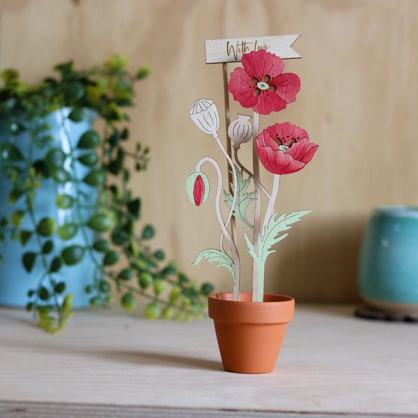 Three Poppy Stems in a Terracotta Pot