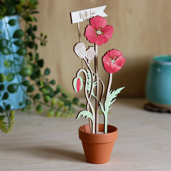 Three Poppy Stems in a Terracotta Pot