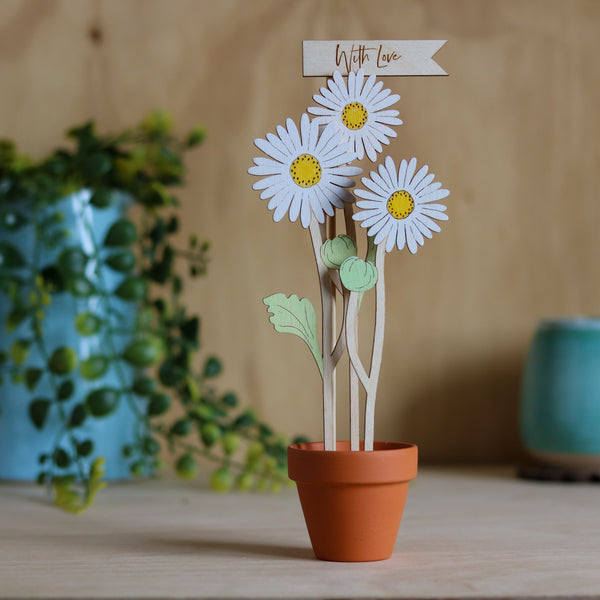 Three Daisy Stems in a Terracotta Pot