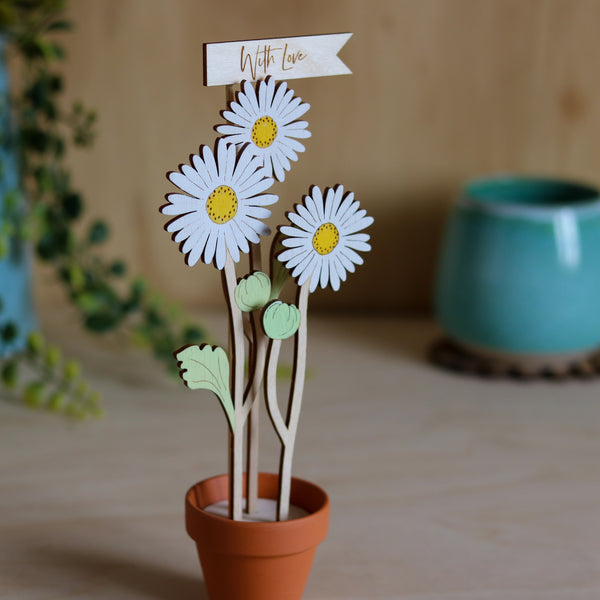 Three Daisy Stems in a Terracotta Pot