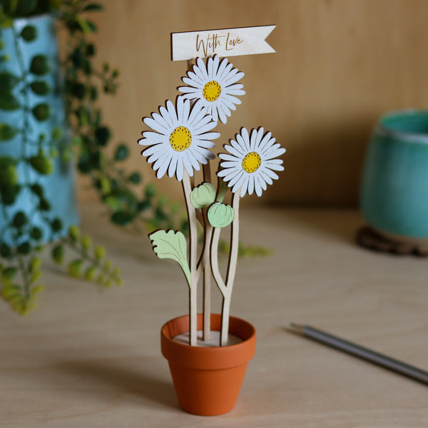 Three Daisy Stems in a Terracotta Pot