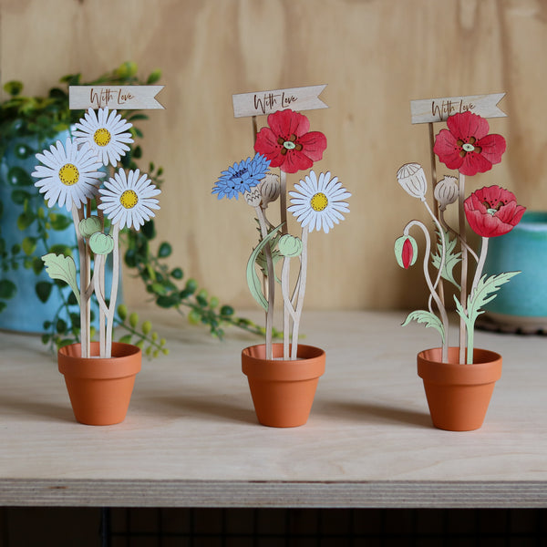 Three Poppy Stems in a Terracotta Pot