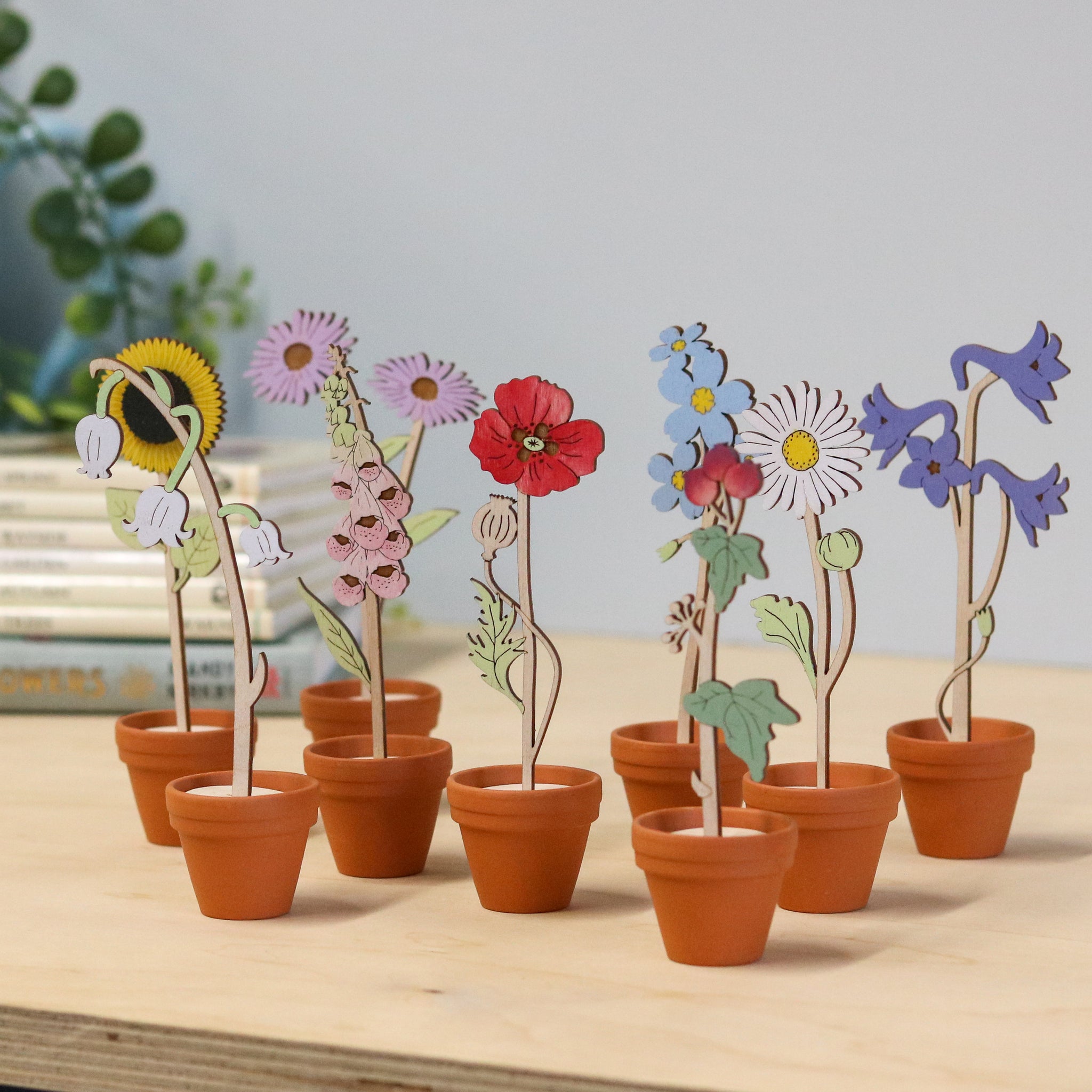 Mini Terracotta potted Flowers