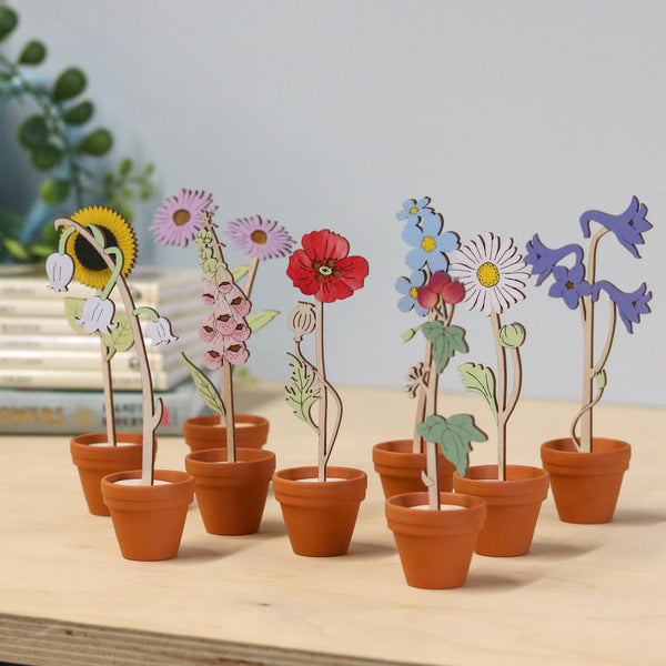 Mini Terracotta potted Flowers