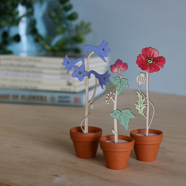 Mini Terracotta potted Flowers