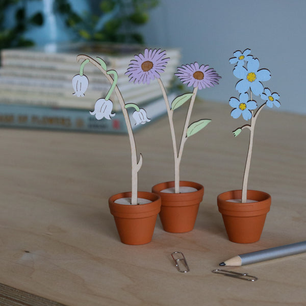 Mini Terracotta potted Flowers