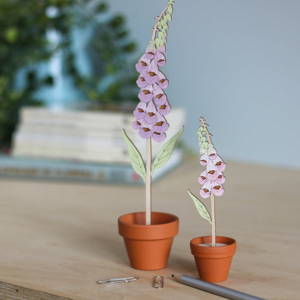 Mini Terracotta potted Flowers