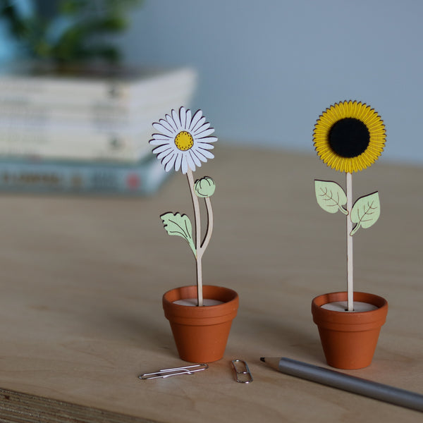 Mini Terracotta potted Flowers