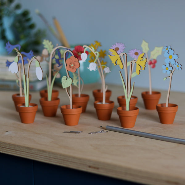 Mini Terracotta potted Flowers