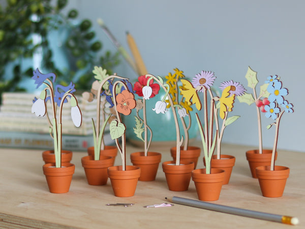 Mini Terracotta potted Flowers