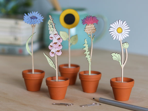 Mini Terracotta potted Flowers