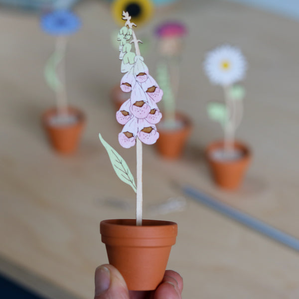 Mini Terracotta potted Flowers