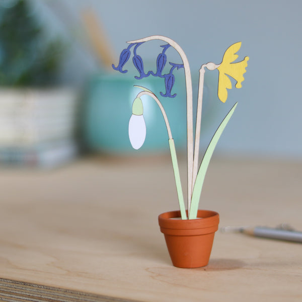 Mini Terracotta potted Flowers