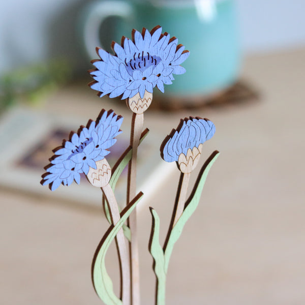 Three Cornflower Stems in a Terracotta Pot