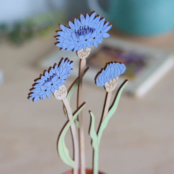 Three Cornflower Stems in a Terracotta Pot