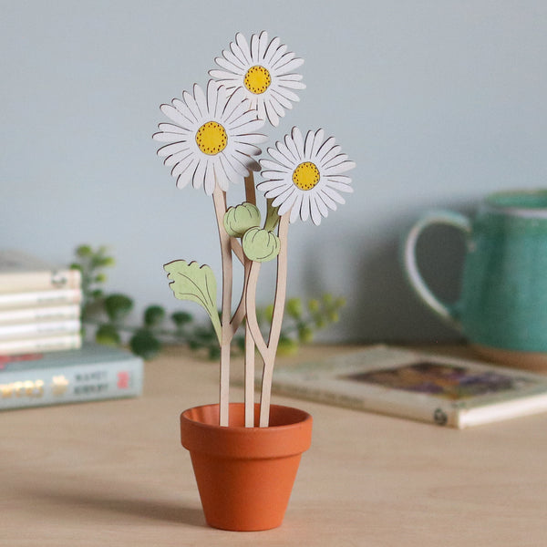 Three Daisy Stems in a Terracotta Pot
