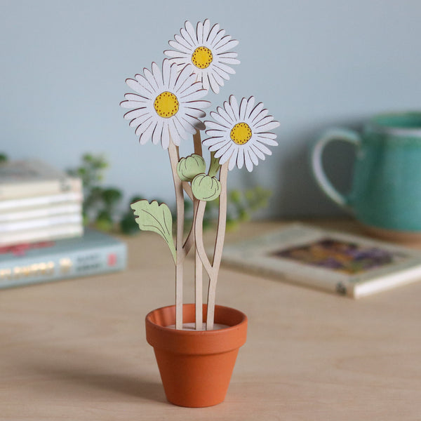 Three Daisy Stems in a Terracotta Pot
