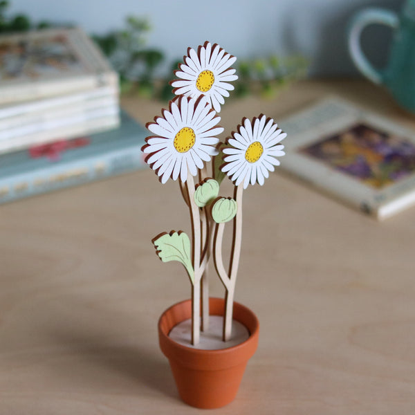 Three Daisy Stems in a Terracotta Pot