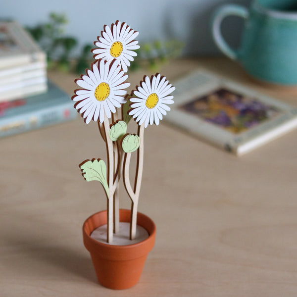 Three Daisy Stems in a Terracotta Pot