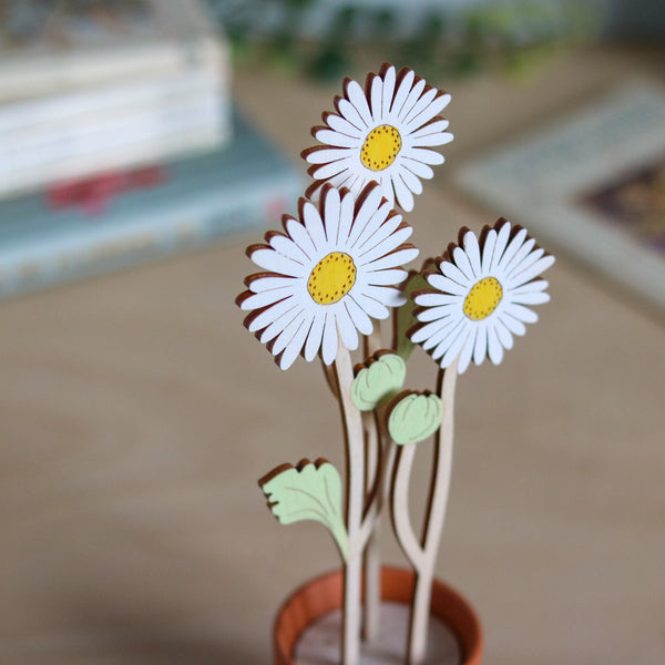 Three Daisy Stems in a Terracotta Pot