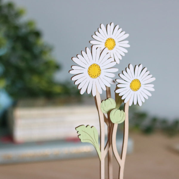 Three Daisy Stems in a Terracotta Pot