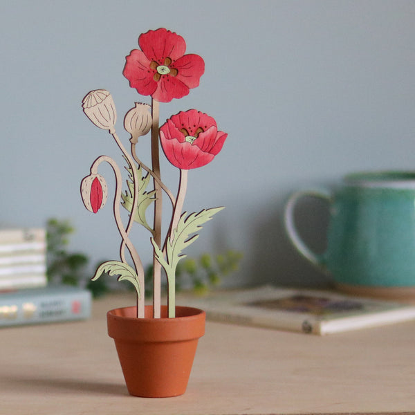 Three Poppy Stems in a Terracotta Pot