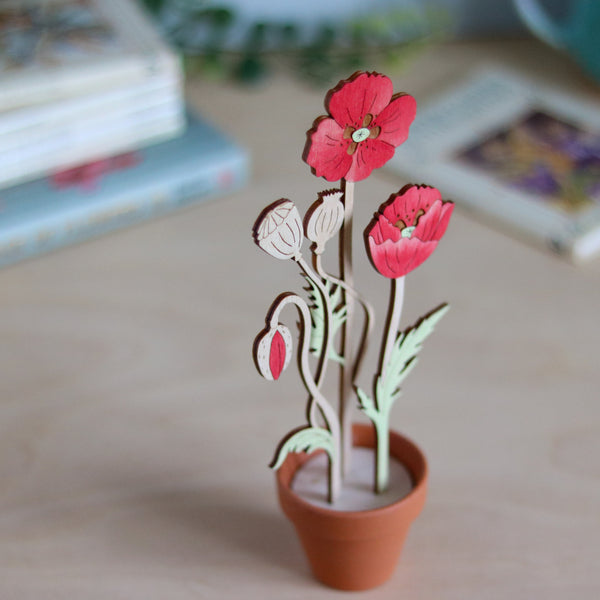 Three Poppy Stems in a Terracotta Pot