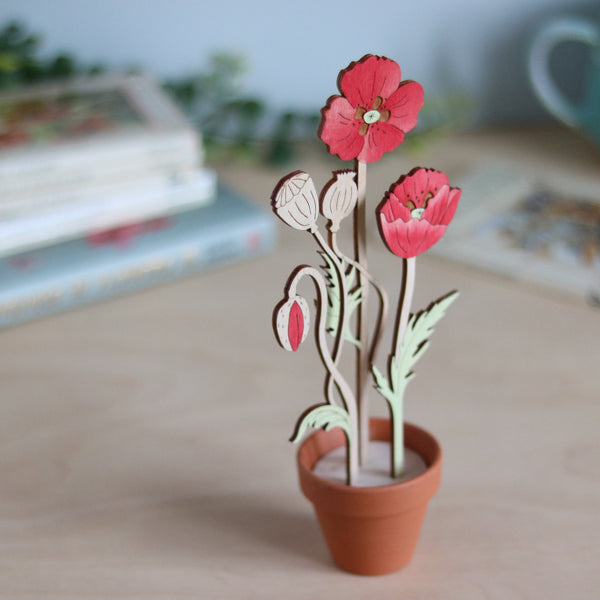 Three Poppy Stems in a Terracotta Pot