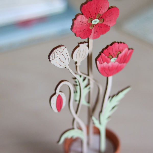 Three Poppy Stems in a Terracotta Pot