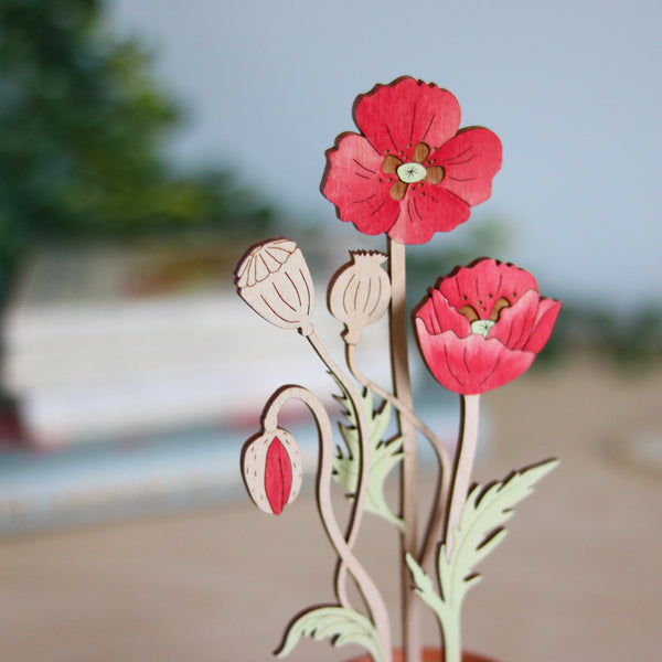 Three Poppy Stems in a Terracotta Pot