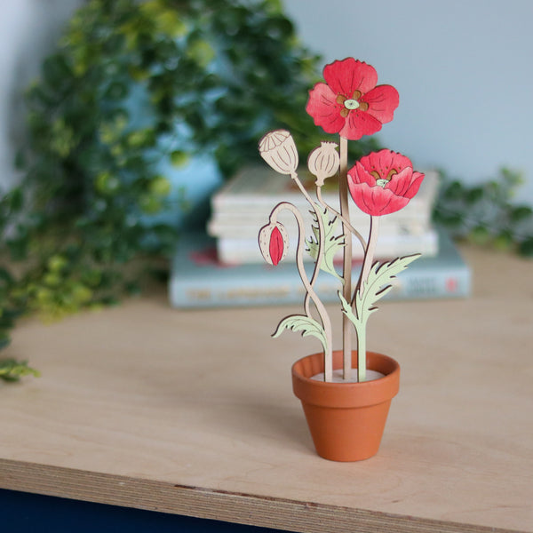 Three Poppy Stems in a Terracotta Pot