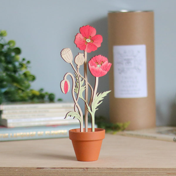 Three Poppy Stems in a Terracotta Pot