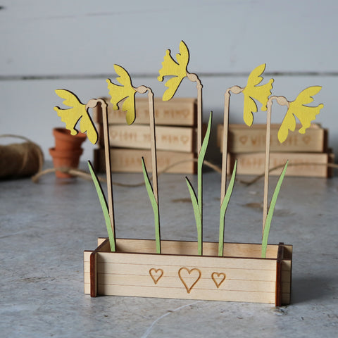 Flower Box Daffodils