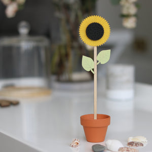 Wooden Sunflower Stem in a Terracotta Pot